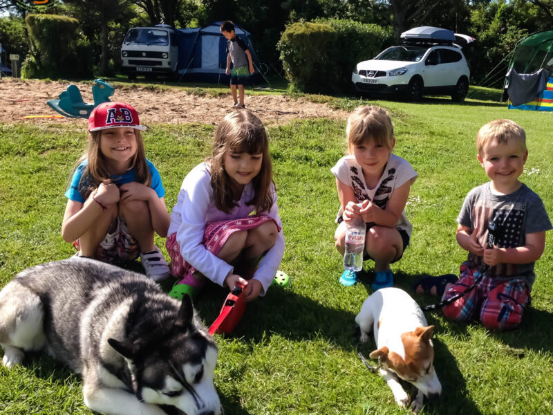 Kids N Pups At Silver Sands